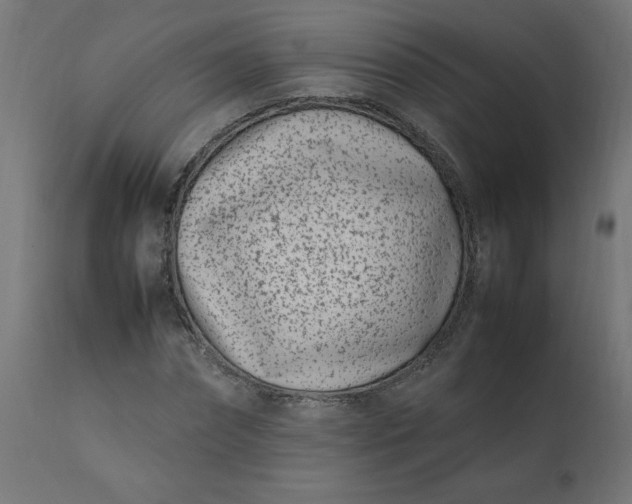 X0000111500874200907281248