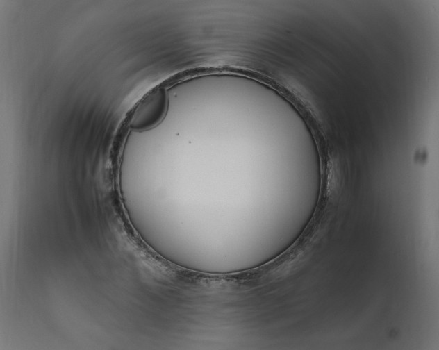 X0000111500876200907281248