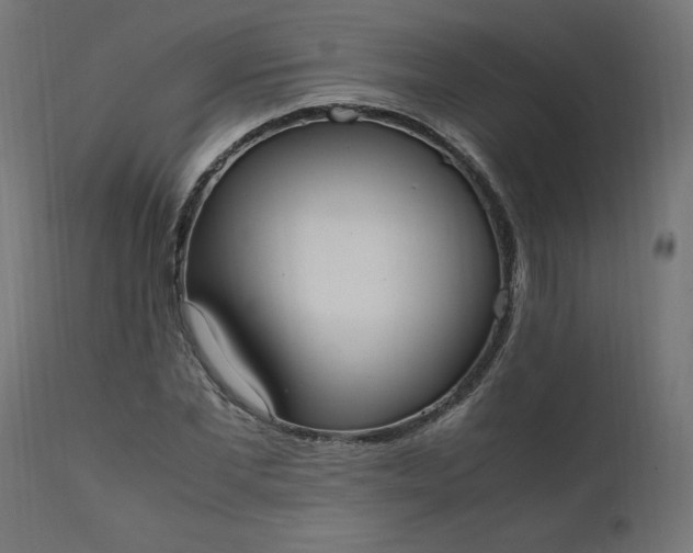 X0000111500877200907281248