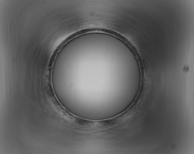 X0000111500879200907281248