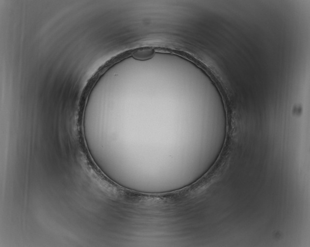 X0000111500880200907281248