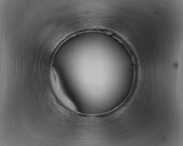 X0000111500881200907281248