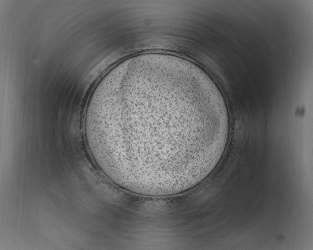 X0000111500882200907281248