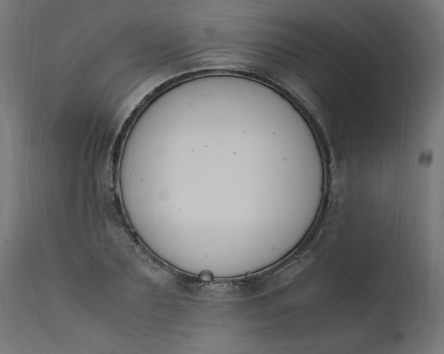 X0000111500883200907281248