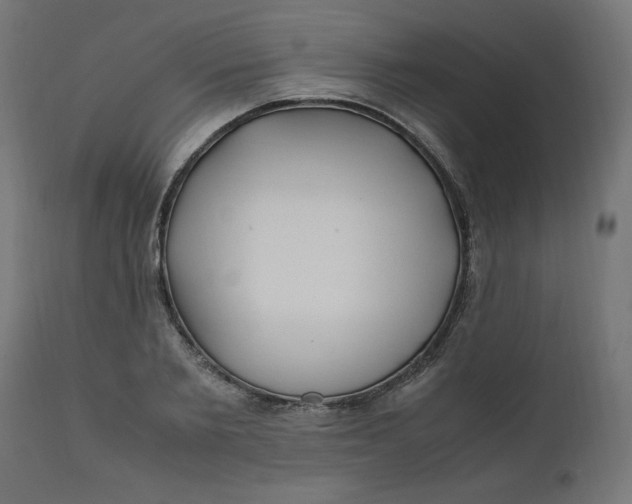 X0000111500885200907281248