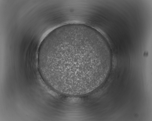 X0000111500886200907281248