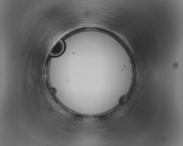 X0000111500887200907281248