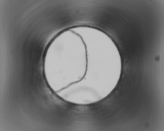 X0000111500888200907281248