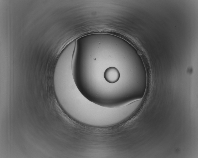 X0000111500889200907281248