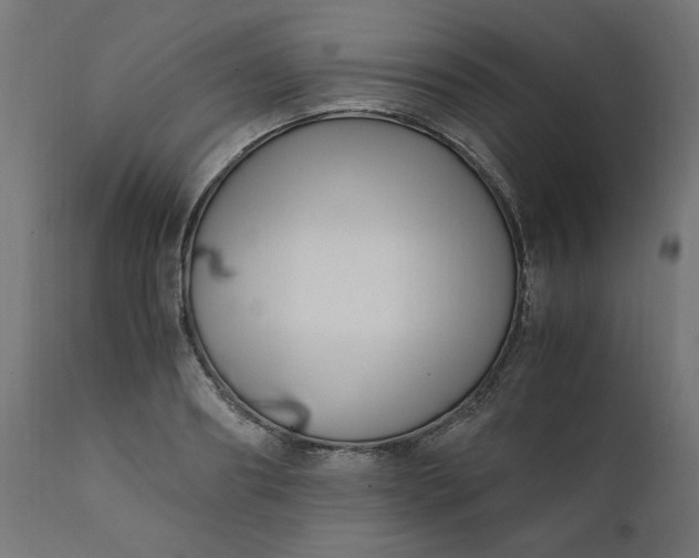 X0000111500890200907281248