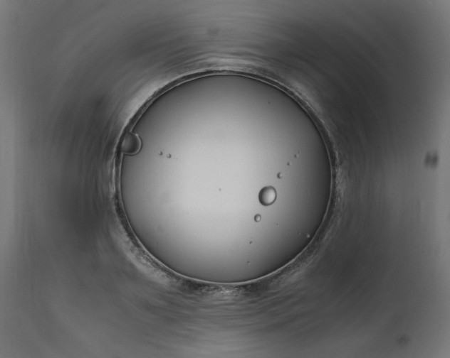 X0000111500891200907281248