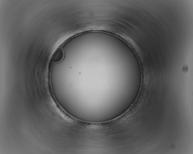 X0000111500894200907281248