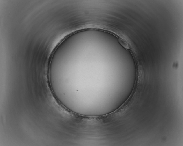 X0000111500896200907281248