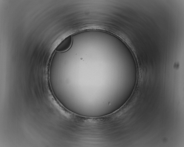 X0000111500898200907281248