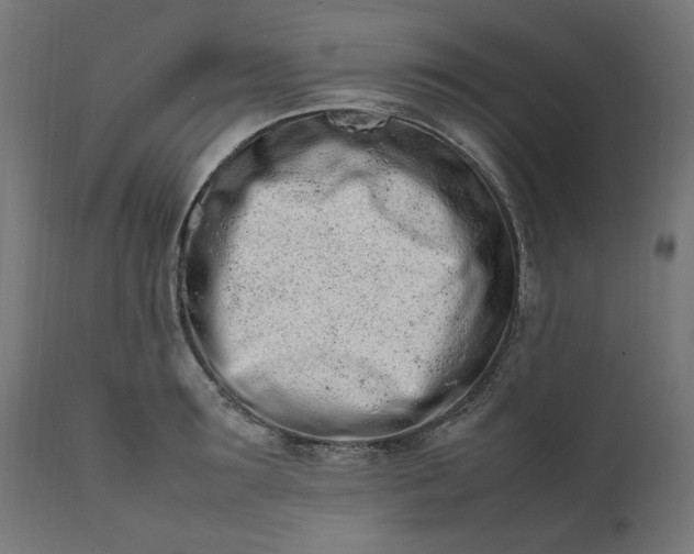 X0000111500899200907281248