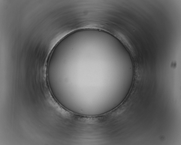 X0000111500900200907281248