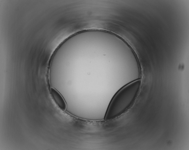 X0000111500901200907281248