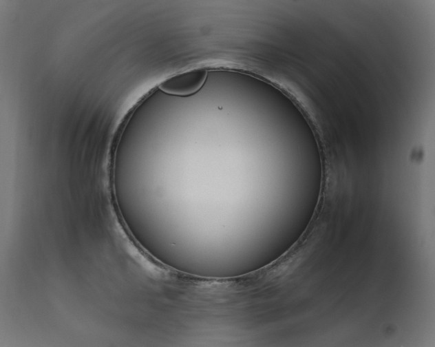 X0000111500902200907281248