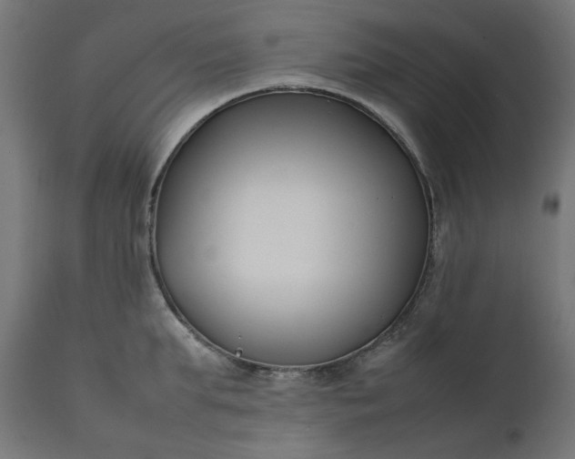 X0000111500903200907281248