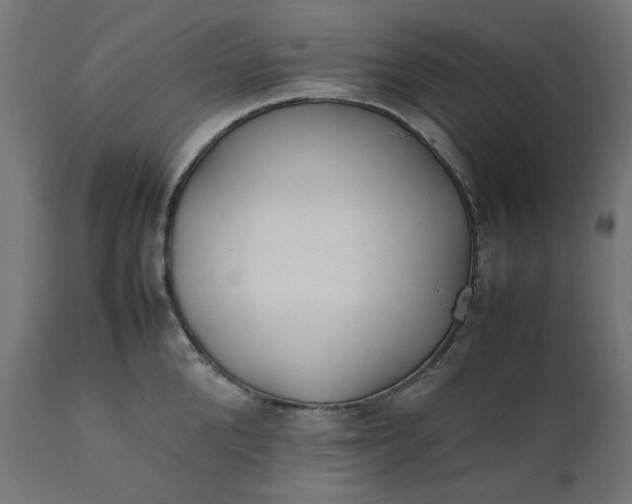 X0000111500904200907281248