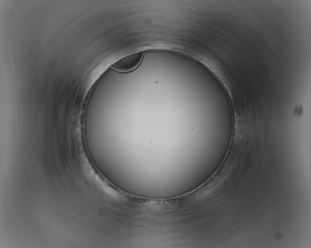 X0000111500906200907281248