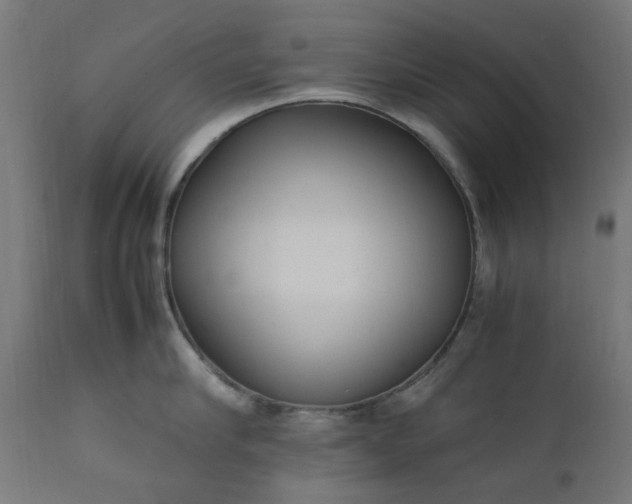 X0000111500910200907281248