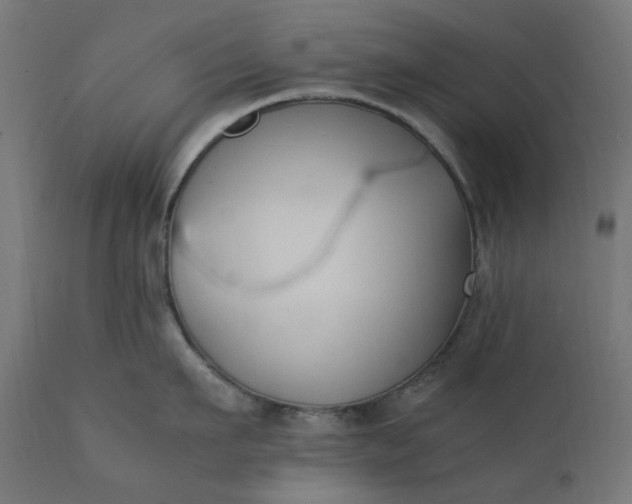 X0000111500911200907281248