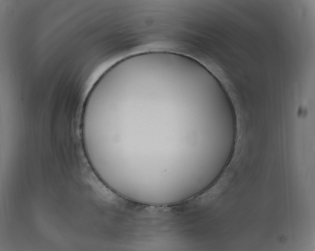 X0000111500912200907281248