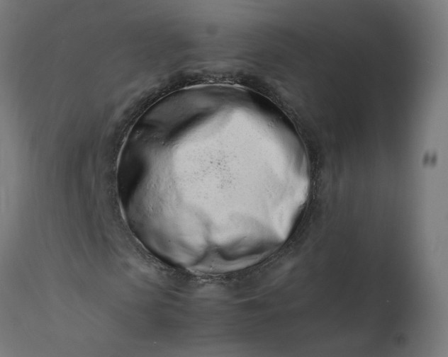 X0000111500913200907281247