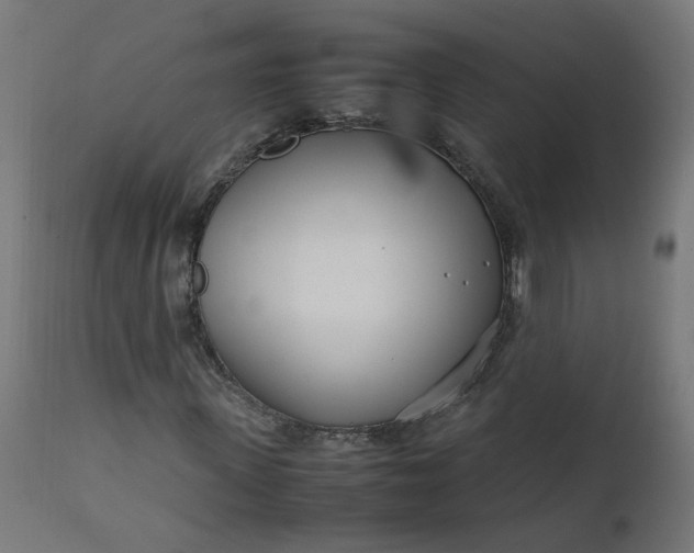 X0000111500915200907281247