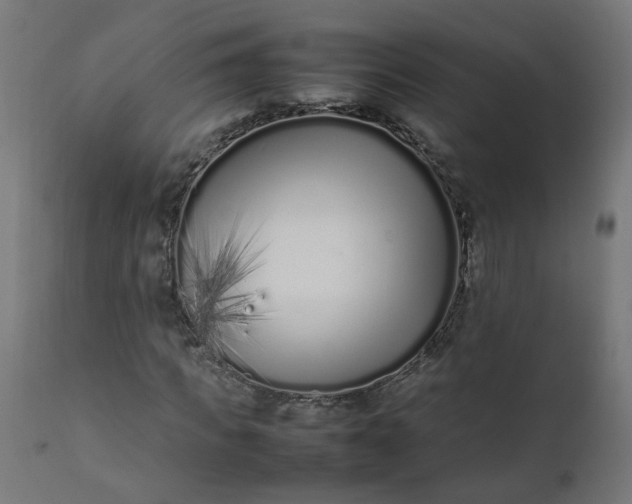 X0000111500917200907281247