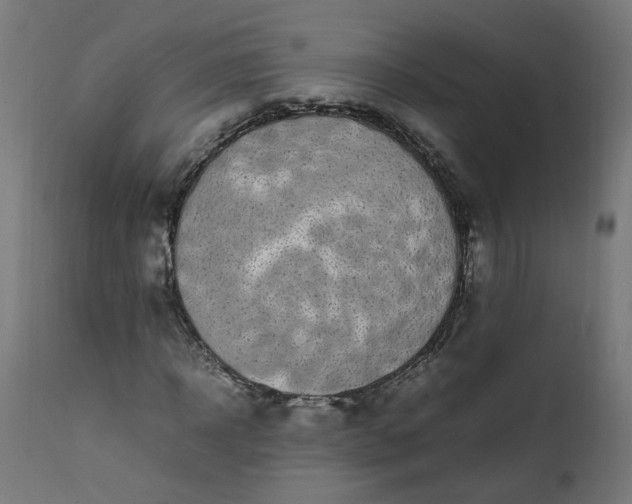 X0000111500918200907281247