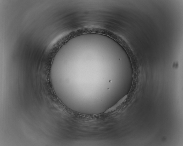 X0000111500919200907281247