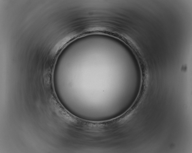 X0000111500921200907281247