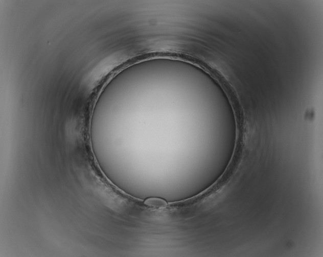 X0000111500922200907281247