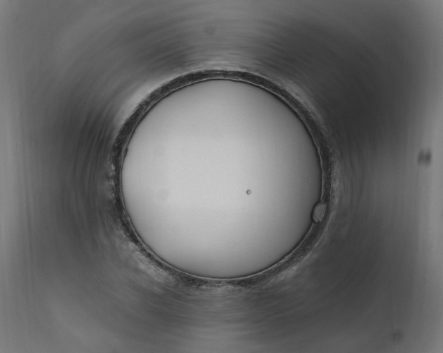 X0000111500926200907281247