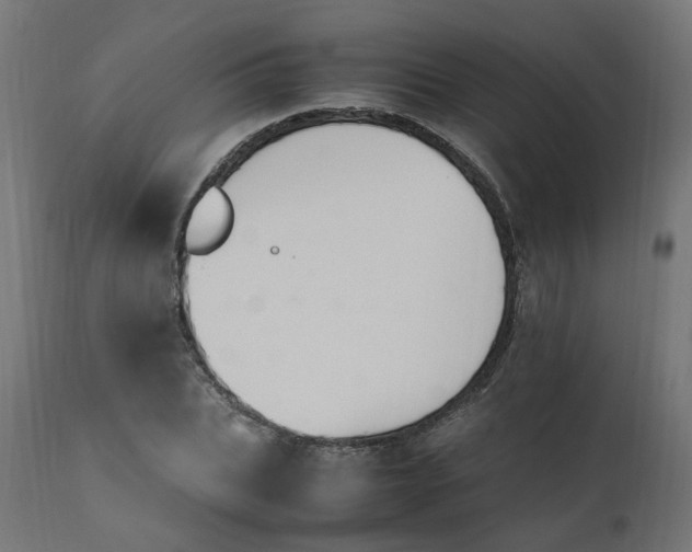 X0000111500927200907281247