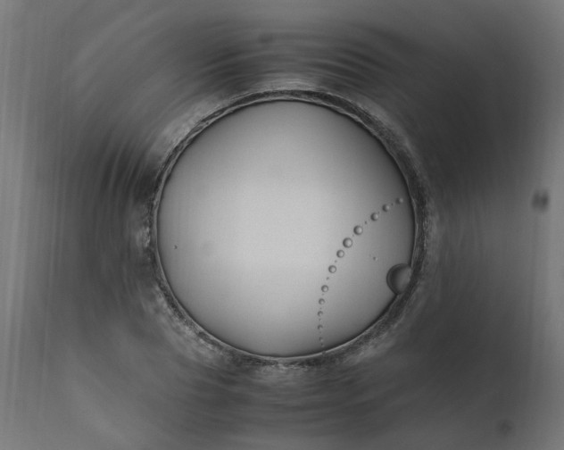 X0000111500929200907281247