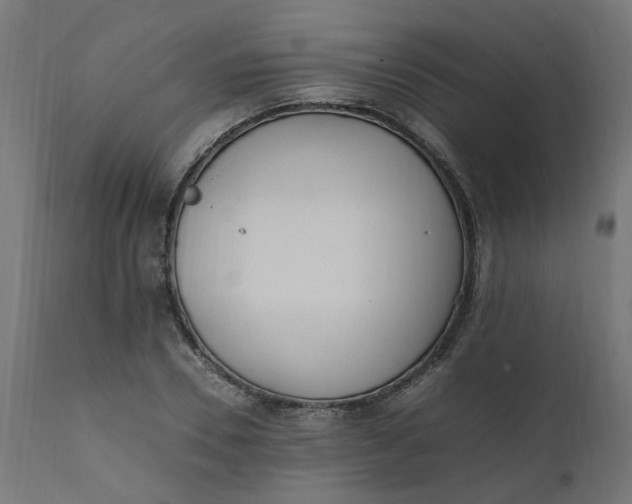 X0000111500930200907281247