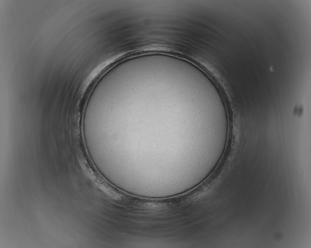 X0000111500933200907281247