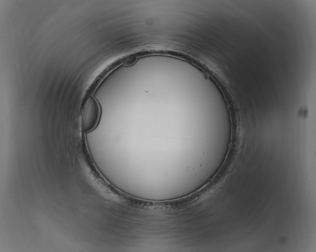 X0000111500934200907281247