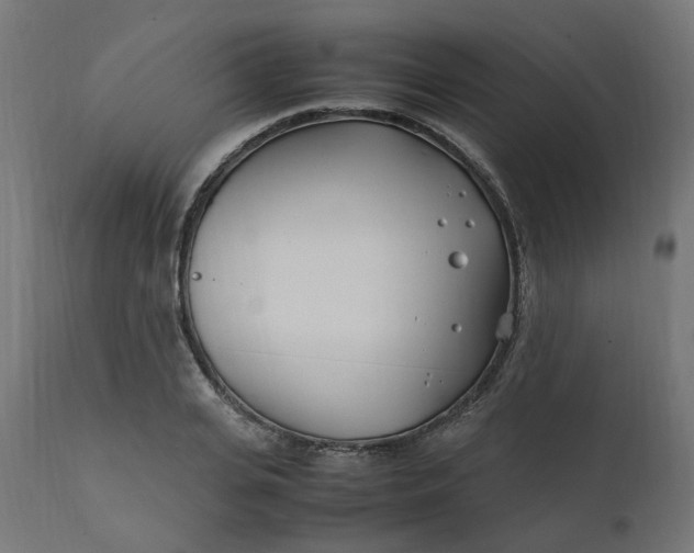 X0000111500935200907281247