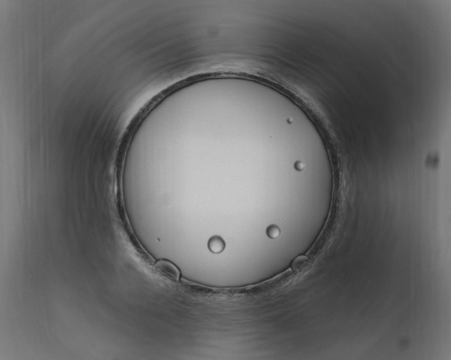 X0000111500936200907281247