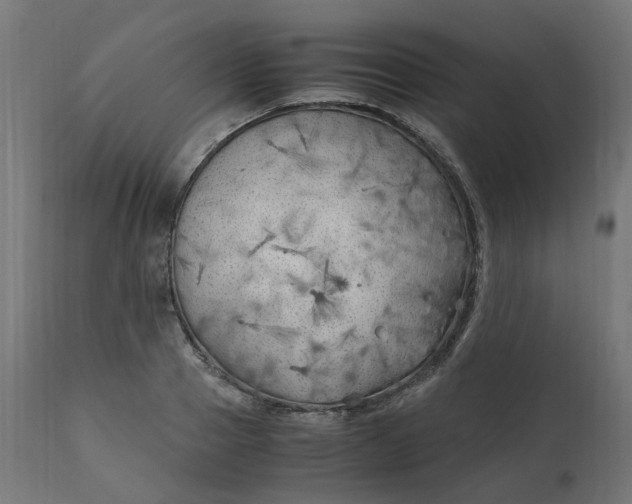 X0000111500937200907281248