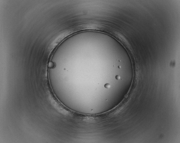 X0000111500938200907281248