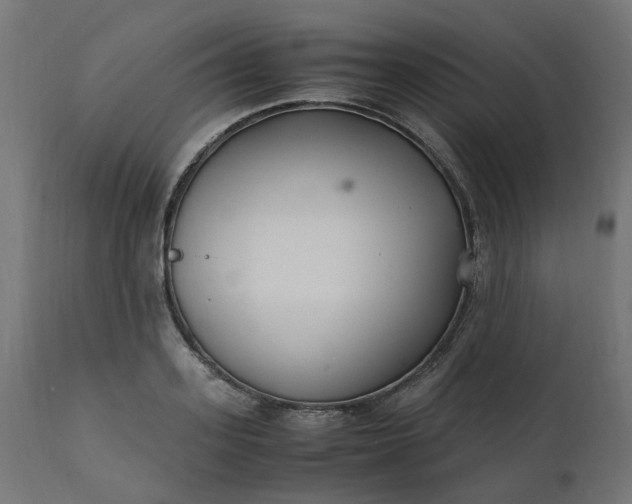 X0000111500939200907281248