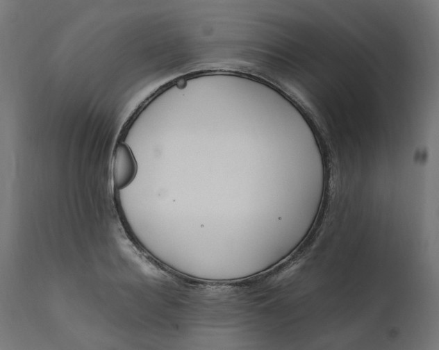 X0000111500940200907281248