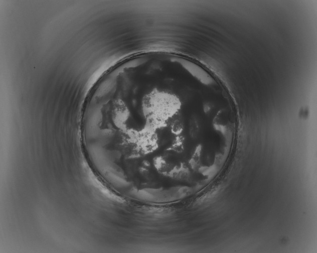 X0000111500941200907281248