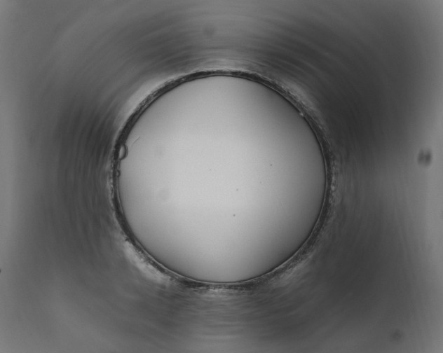 X0000111500942200907281248