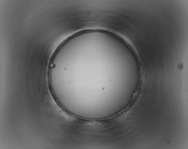 X0000111500943200907281248